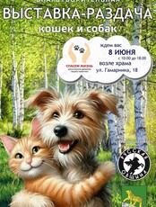 Мини выставка-раздача животных