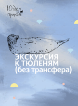 Экскурсия в реабилитационный центр морских млекопитающих «Тюлень»