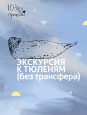Экскурсия в реабилитационный центр морских млекопитающих «Тюлень»