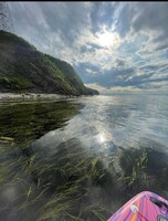 Sup-прогулка (бухта Безымянная, Мыс крутой, отдельный мини-остров)