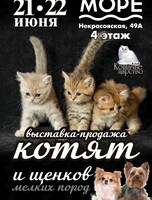 Выставка-продажа котят и щенков