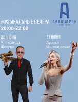 Музыкальные вечера