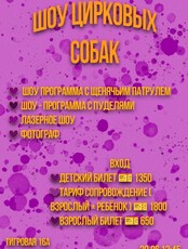 Цирковое представление пуделей