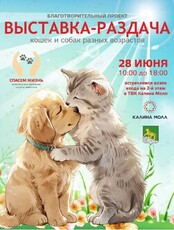 Выставка-раздача животных