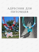 Мастер-класс «Стильный адресник для питомцев»