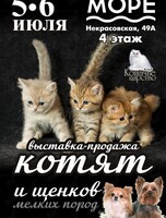 Выставка-продажа котят и щенков