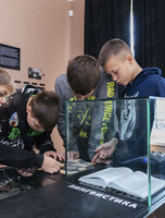 Познавательная программа «Искатели женьшеня»