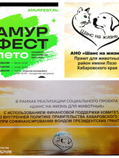 Благотворительная акция от приюта "Шанс на жизнь"