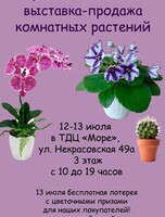 Выставка-продажа комнатных растений