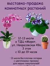 Выставка-продажа комнатных растений