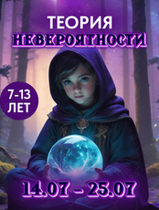 Детские городские каникулы «Теория невероятности»