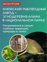 Экскурсия "Анюйский рыбоводный завод + этнодеревня Алима в национальном парке"