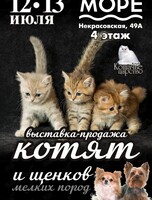 Выставка-продажа котят и щенков