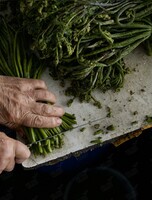 Выставка Риты Зарюта «Соль по вкусу»
