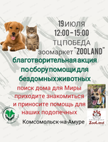Благотворительная акция по сбору помощи для бездомных животных
