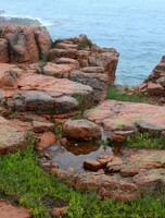 Тур «Морской заповедник - остров Попова»