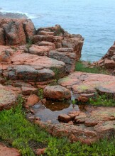 Тур «Морской заповедник – остров Попова»