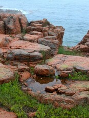 Тур «Морской заповедник – остров Попова»