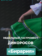 Недельный гастрофест дикоросов "Бирария"