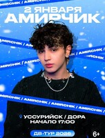 Амирчик