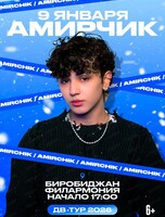 Амирчик