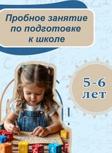 Пробное занятие по подготовке к школе 5-6 лет