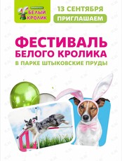 Фестиваль «День Рождения Белого Кролика»