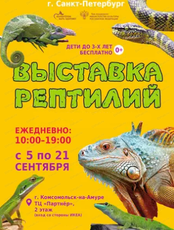 Выставка рептилий