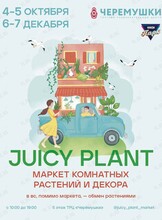 Маркет комнатных растений и декора Juicy Plant