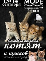 Выставка-продажа котят и щенков