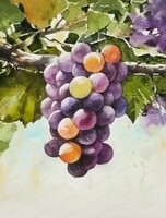 Занятия по акварели для взрослых. Мастер-класс "Виноград"