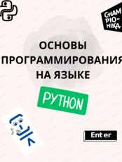 Курс "Основы программирования на языке Python"