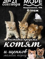 Выставка-продажа котят и щенков