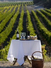 Дегустация "Бордоский бленд. Кругосветка"