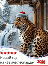 Новый год на «Земле леопарда»