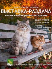 Благотворительная выставка-раздача бездомных животных