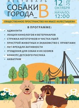Фестиваль «Собаки города_В»