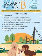 Фестиваль «Собаки города_В»
