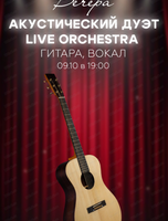 Акустический дуэт Live orchestra