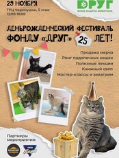 Деньрожденческий фестиваль «Фонду "Друг" 25 лет»