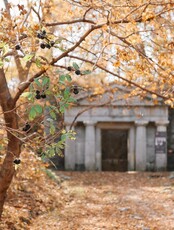 Экскурсия «По следам первооткрывателей. Безверхово» с Ириной Канюковой