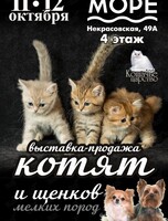 Выставка-продажа котят и щенков