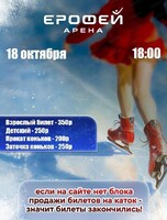 Катание на коньках в Арене "Ерофей"