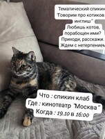 Инглиш спикинг клаб