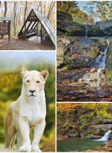 Автопутешествие 3 в 1: Зоопарк «Белый Лев» + «Кравцовские водопады» + Земля Леопарда