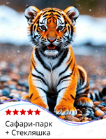 Тур «Сафари-парк + Стекляшка»