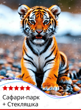 Тур «Сафари-парк + Стекляшка»