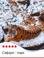 Экскурсия в Сафари-парк
