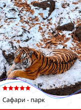 Экскурсия в Сафари-парк