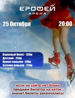 Катание на коньках в Арене "Ерофей"
